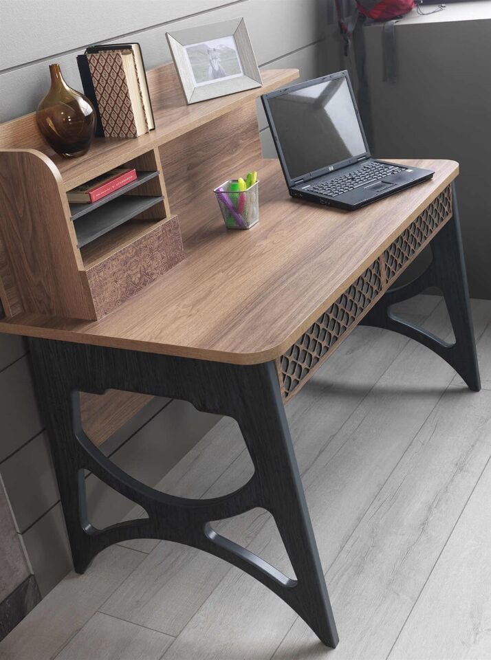 Arno Genç Likya Çalışma Masası