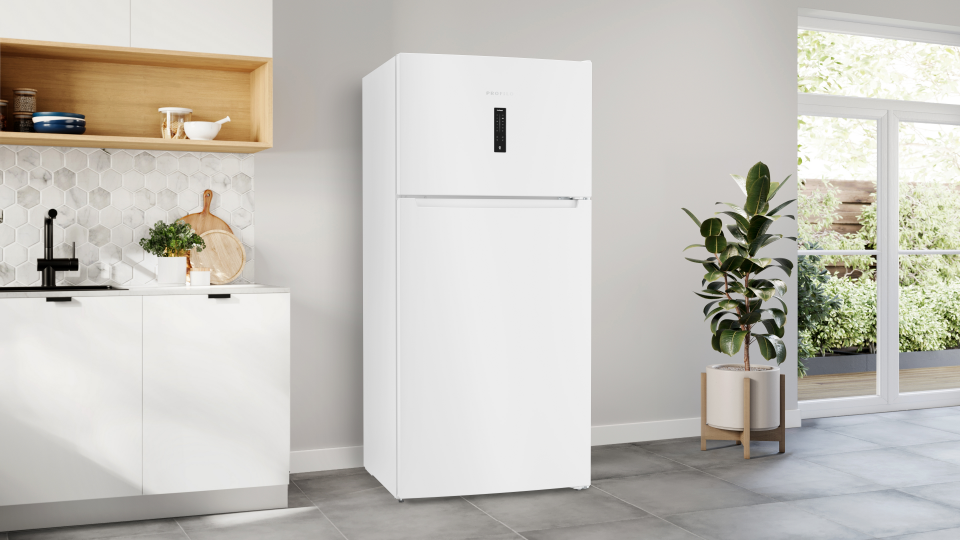Profilo BD2186WEXN Buzdolabı